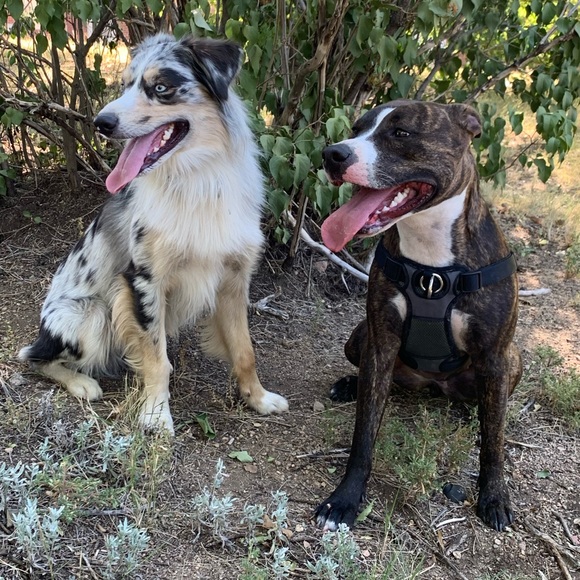 Meet your Posher, Jonna - Picture 1 of 1